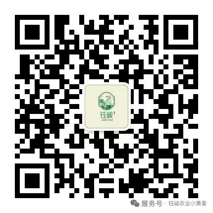 微信公众号二维码